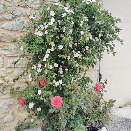 Gite L'Edenwine Doulezon 外观 照片