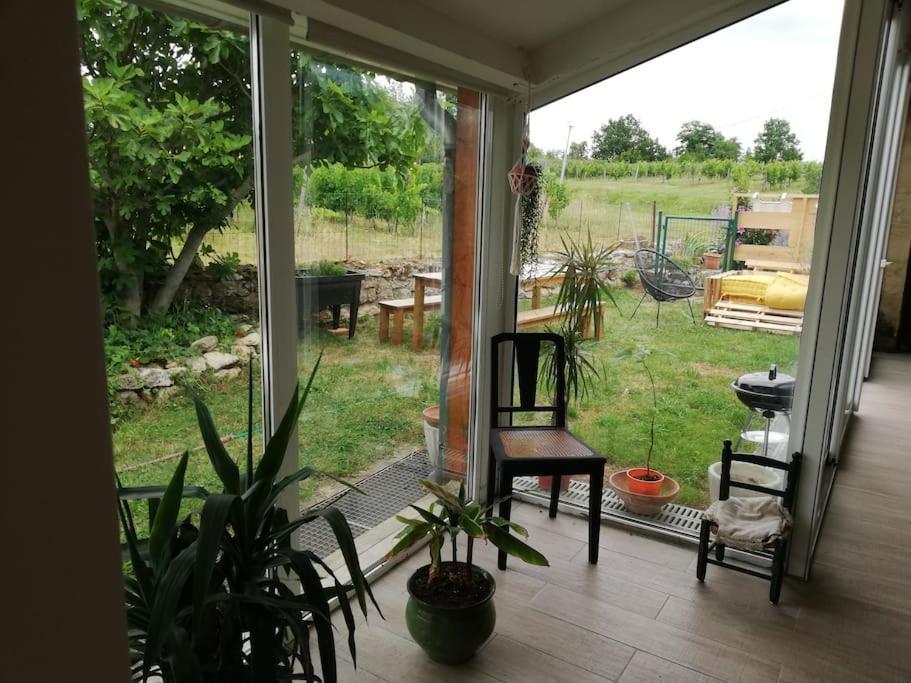 Gite L'Edenwine Doulezon 外观 照片