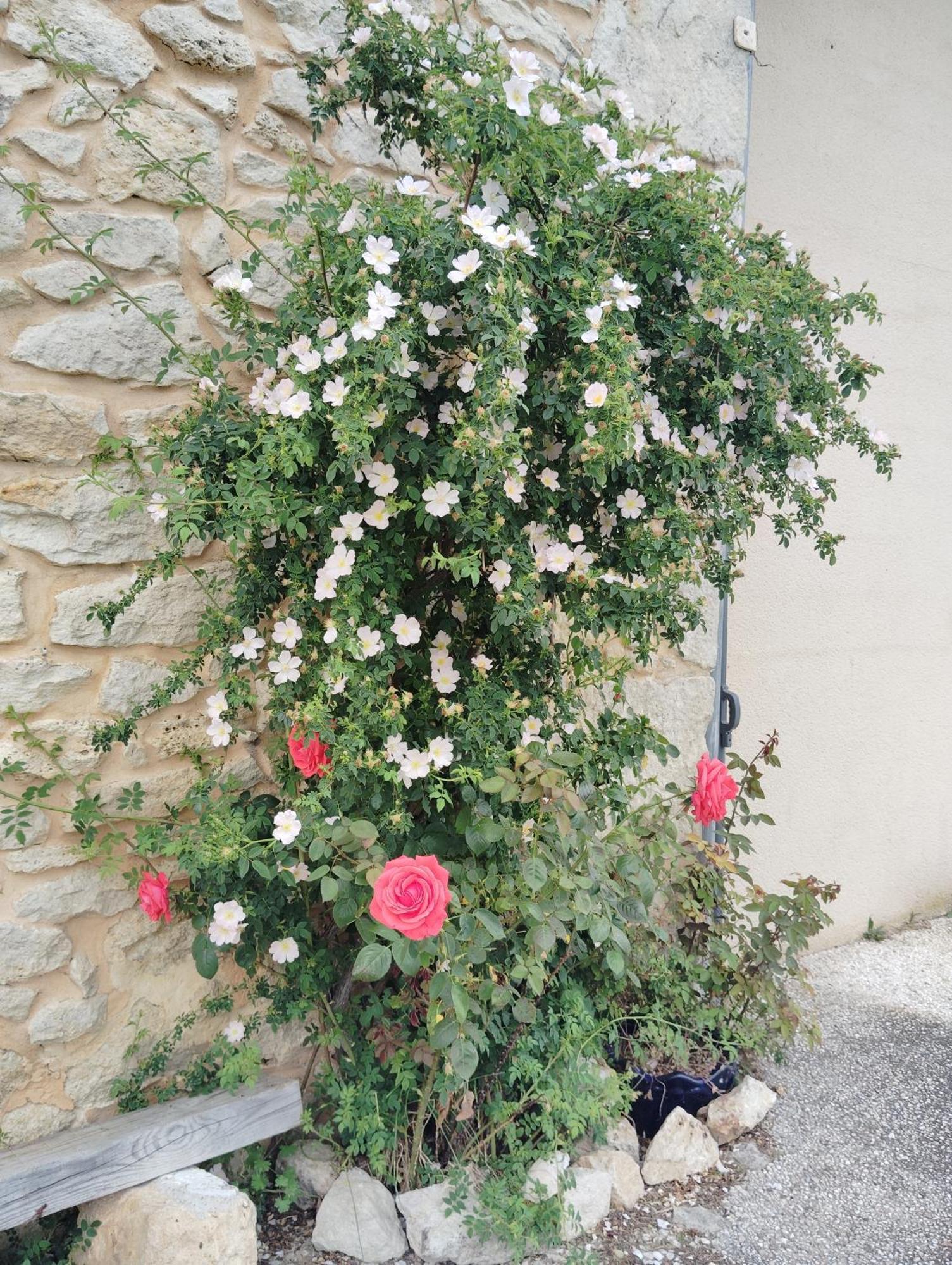 Gite L'Edenwine Doulezon 外观 照片